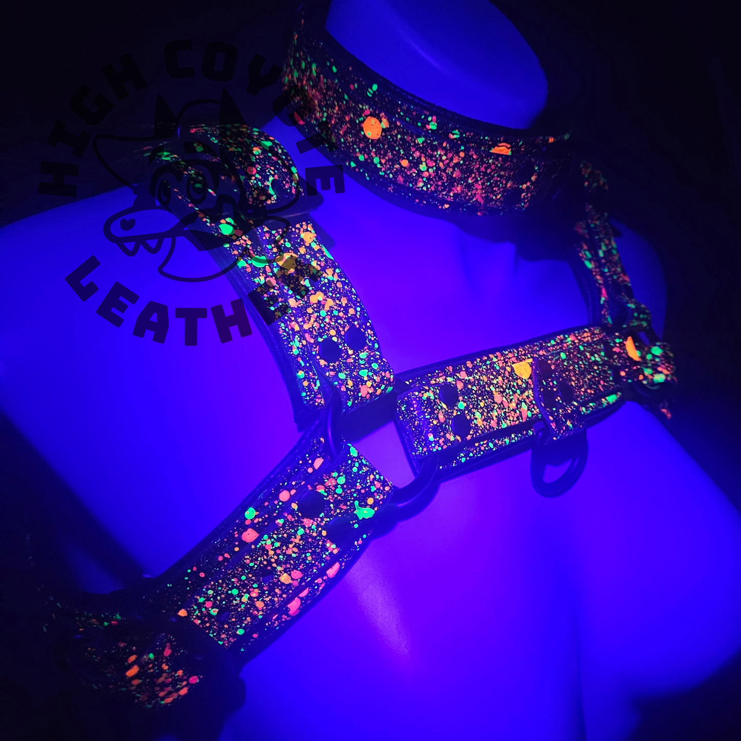 Neon Splatter Harness & Collar