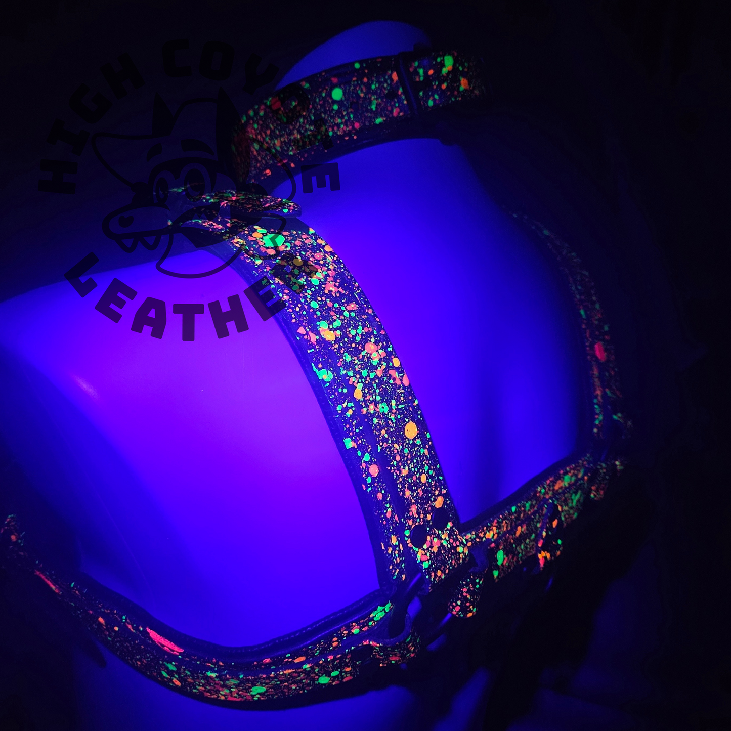 Neon Splatter Harness & Collar