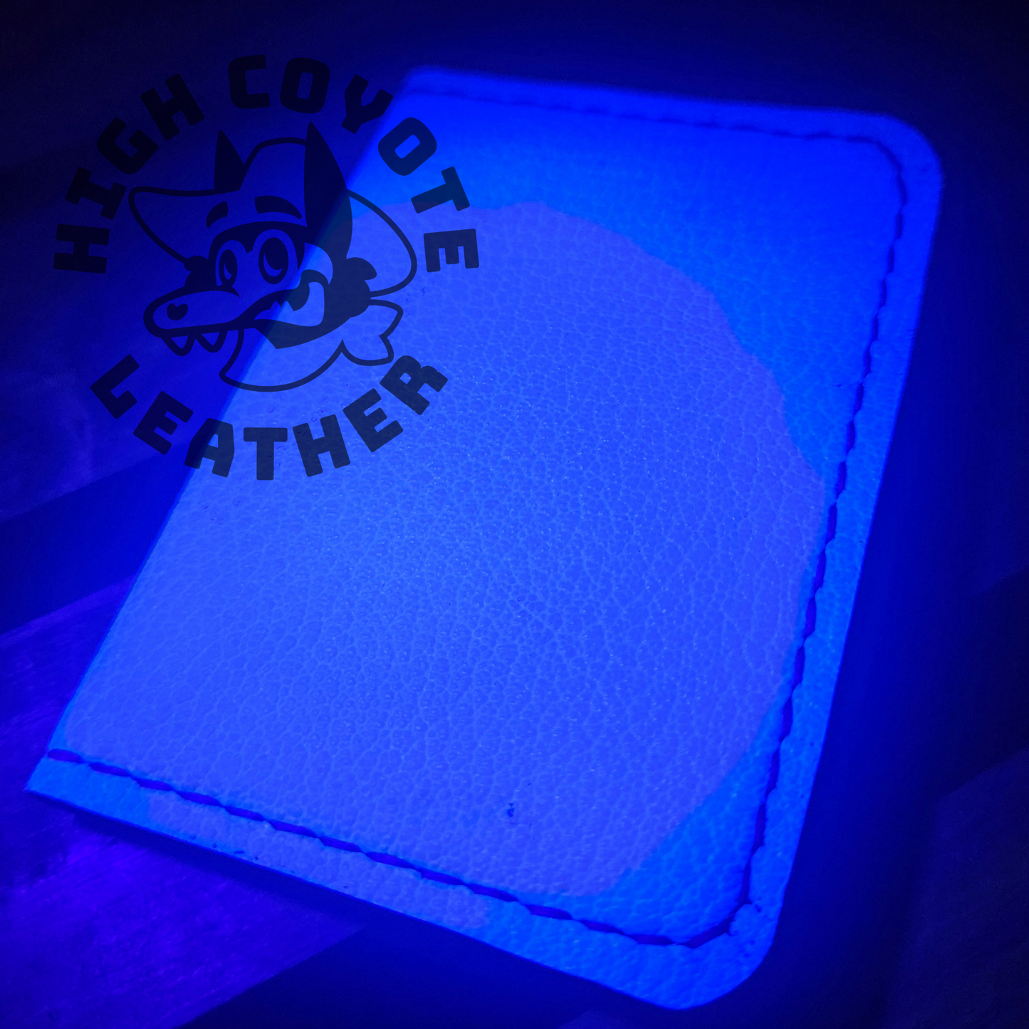 Neon Blue & Pink Mini Bifold