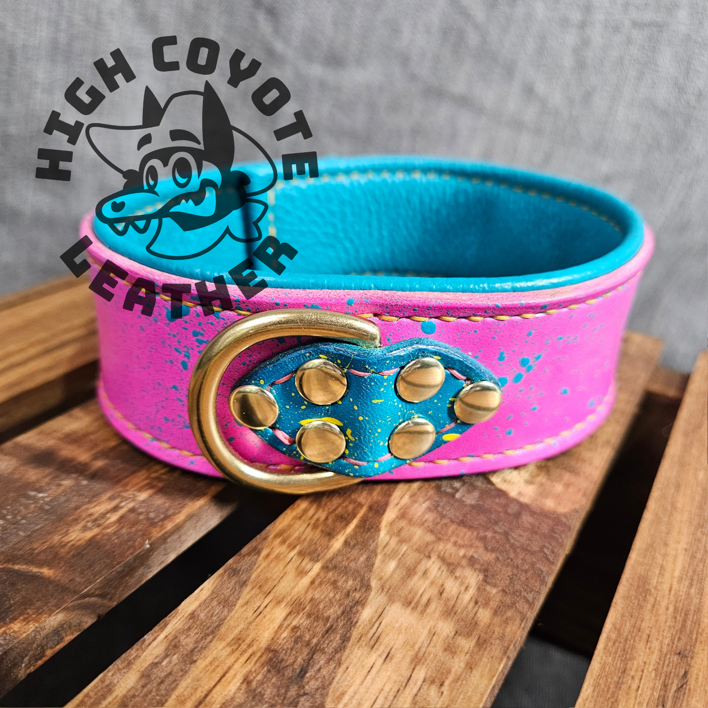Miami Pansexual Collar