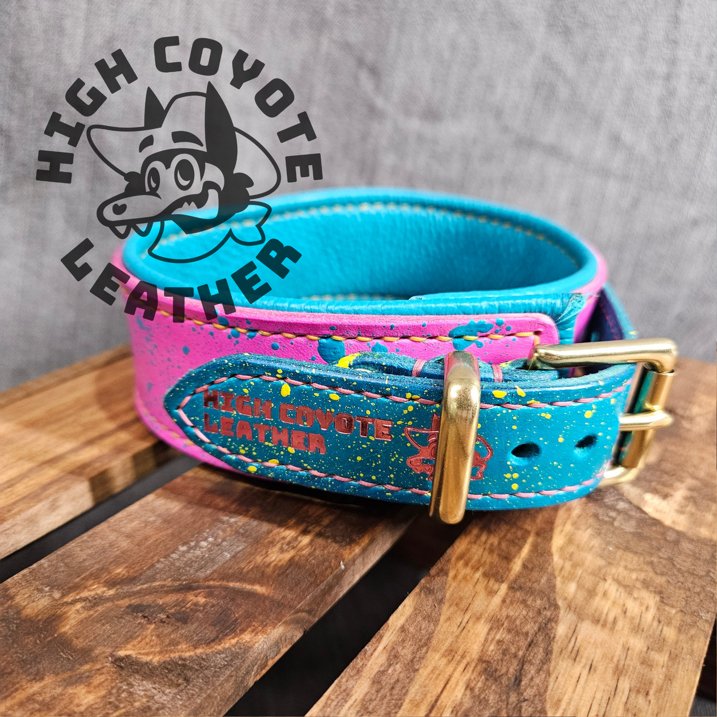 Miami Pansexual Collar