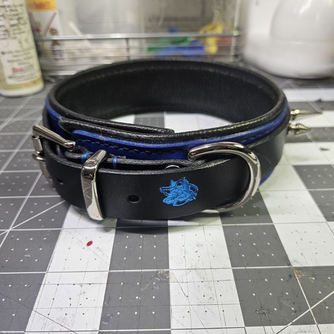 Black & Blue w/ Nickel Spikes Collar