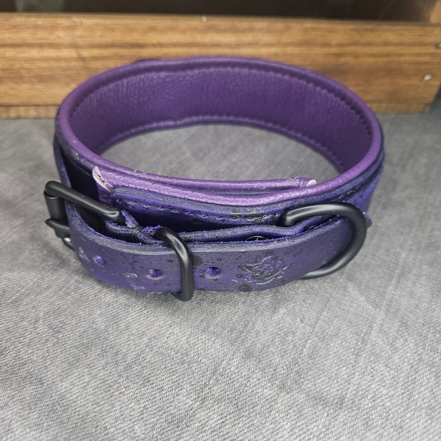 Purple w/ Matte Black Hardware Collar