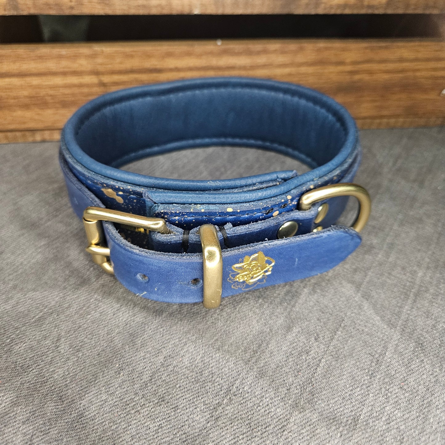 Navy Blue w/ Gold Splatter Collar
