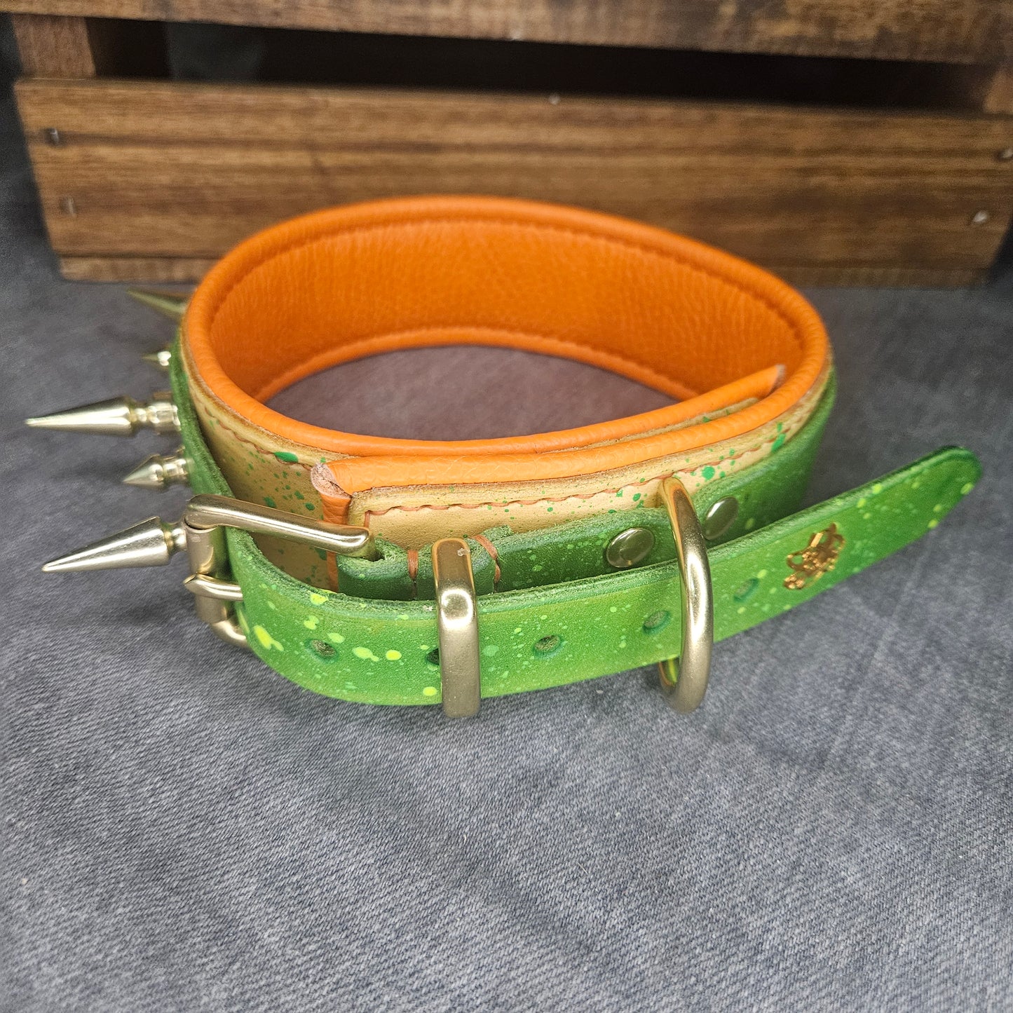 Citrus Splash Spiked Collar