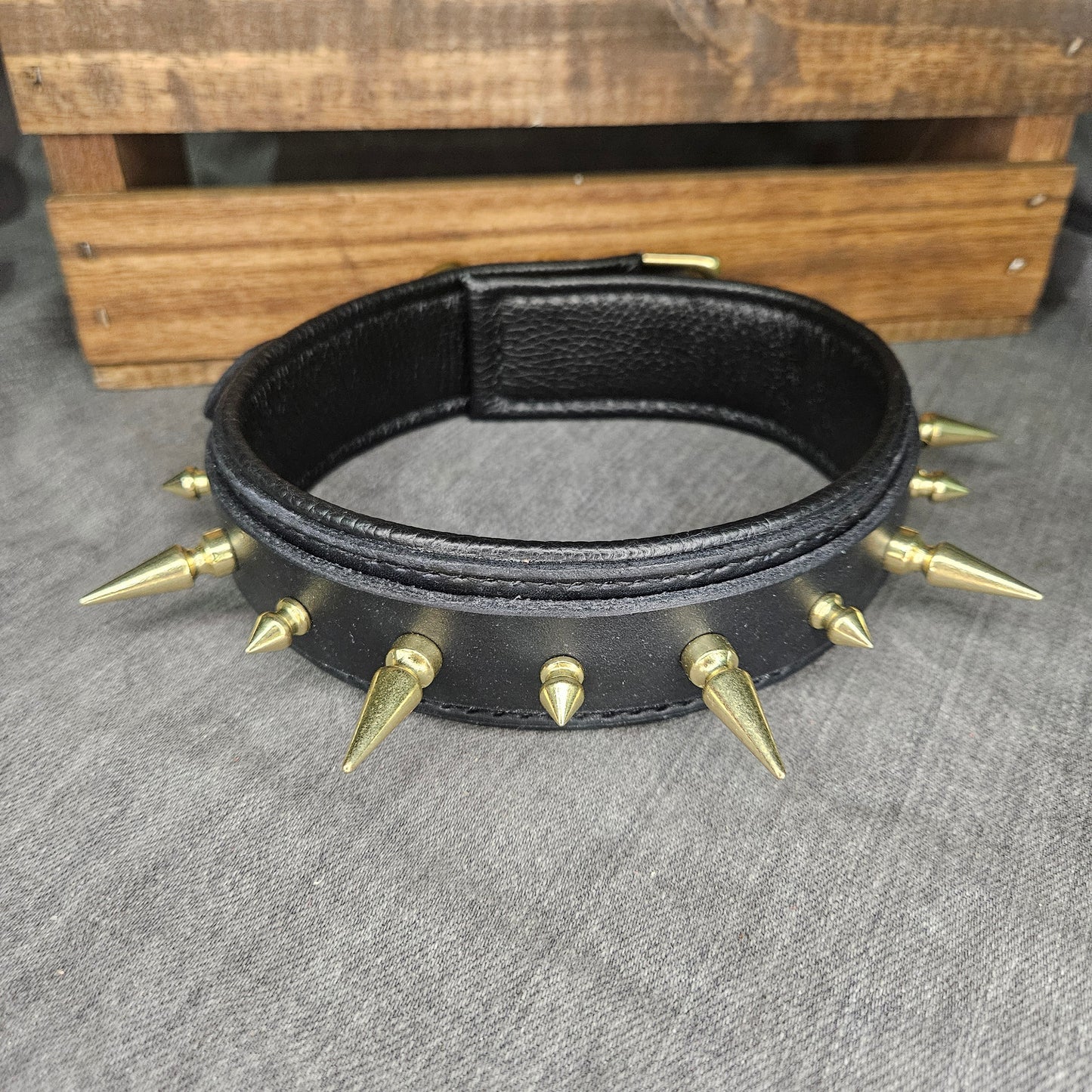 Black w/ Brass Spikes Collar