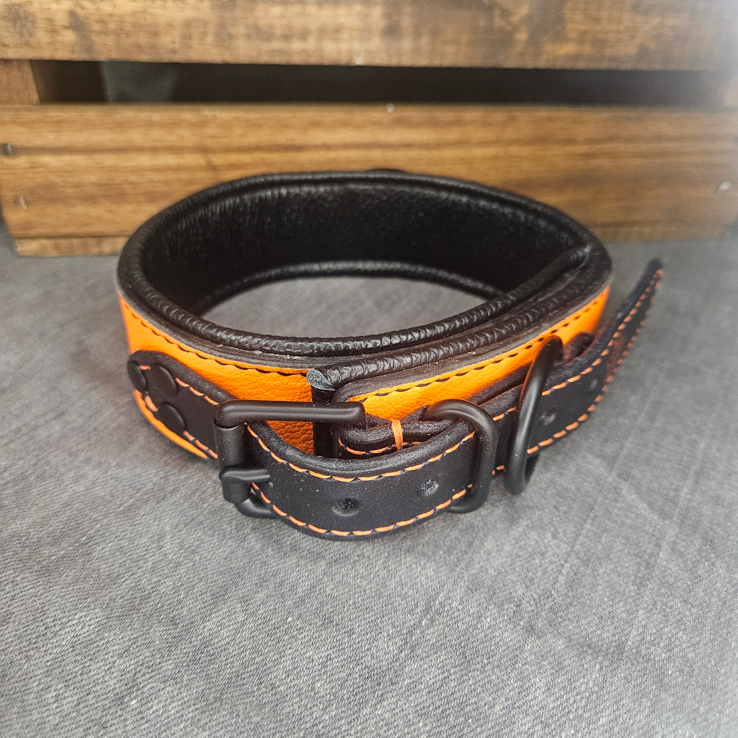 Neon Orange Collar