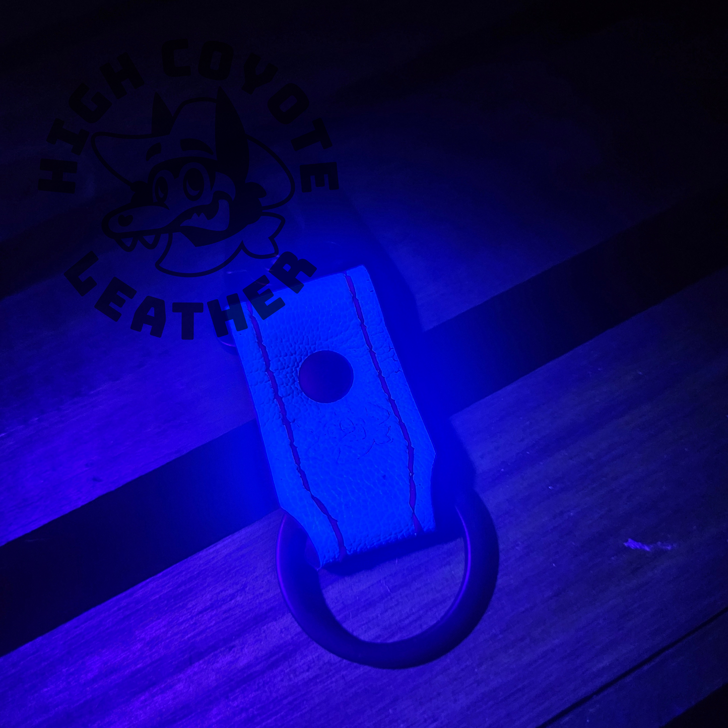 Assorted Special Finish Snap Keychains