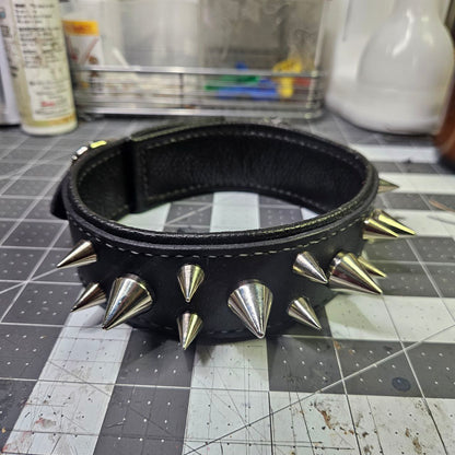 Black w/ Nickel Spikes Collar