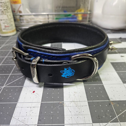 Black & Blue w/ Nickel Spikes Collar