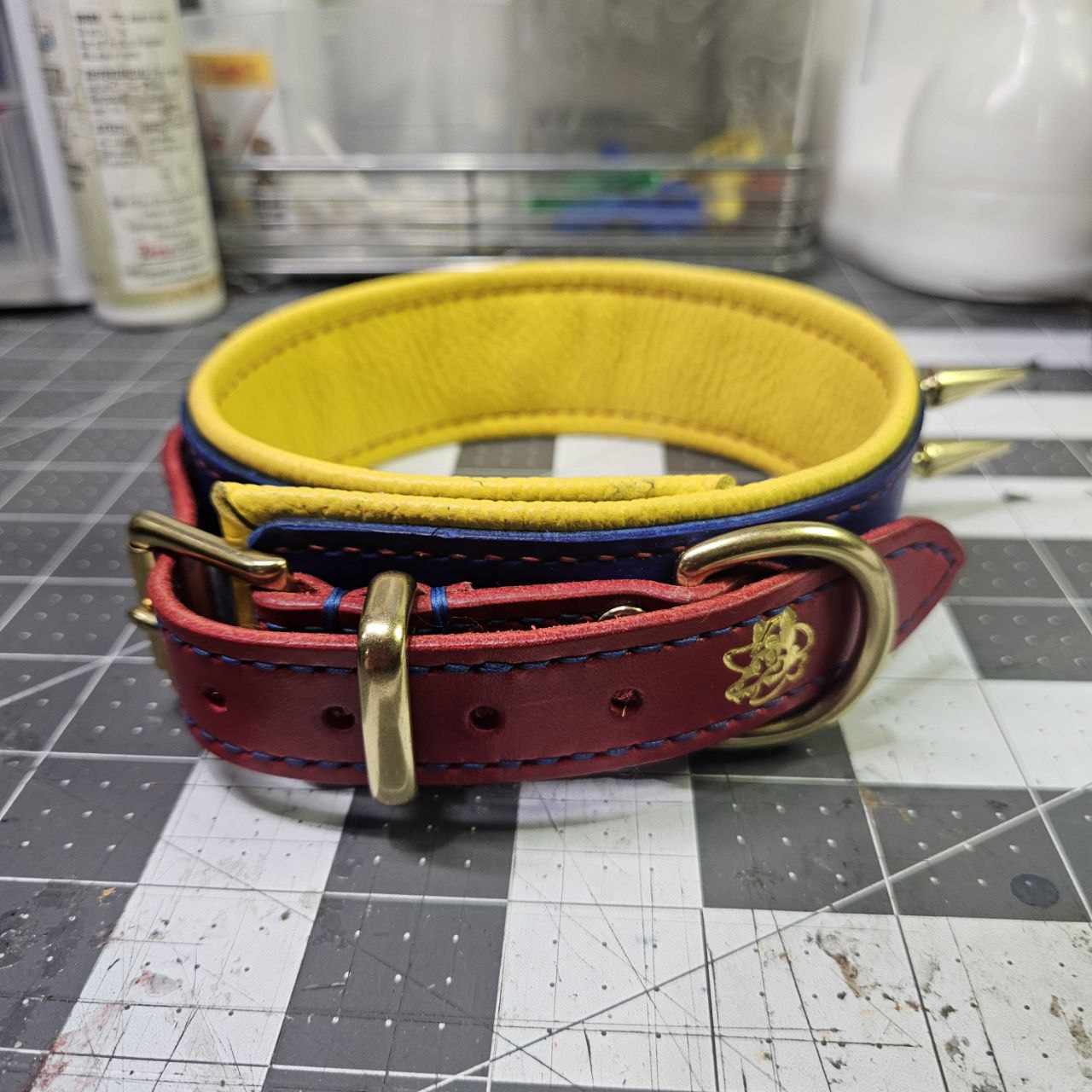 Red, Blue & Yellow w/ Brass Spikes Collar
