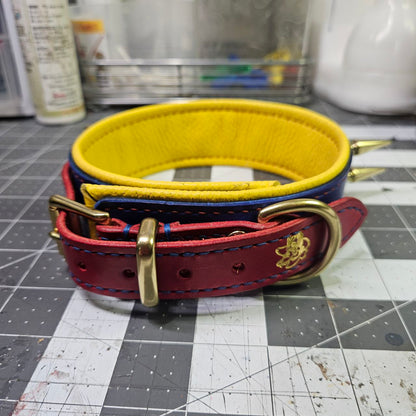 Red, Blue & Yellow w/ Brass Spikes Collar