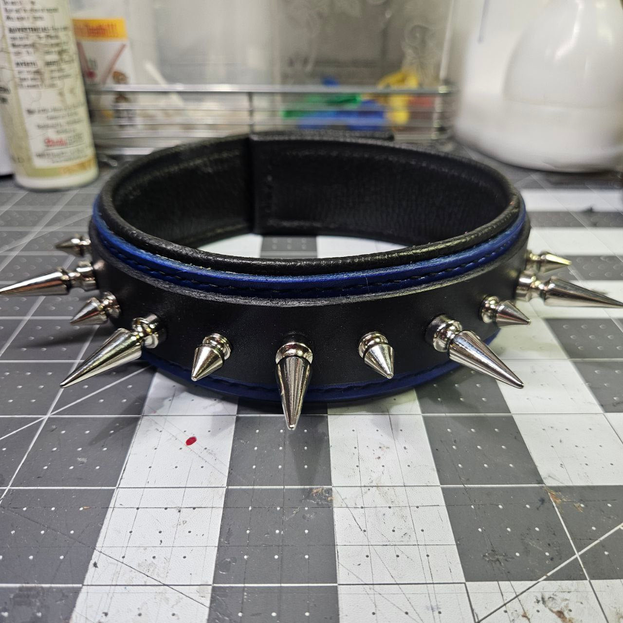 Black & Blue w/ Nickel Spikes Collar