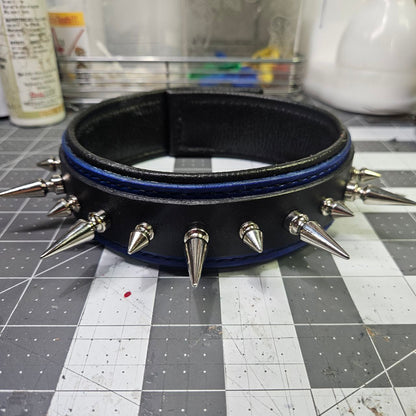 Black & Blue w/ Nickel Spikes Collar
