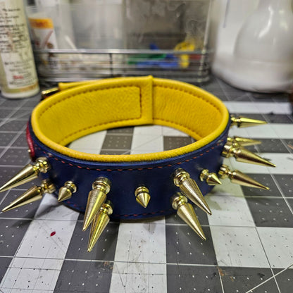 Red, Blue & Yellow w/ Brass Spikes Collar