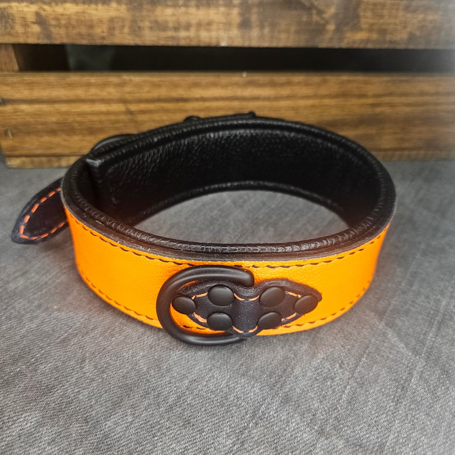 Neon Orange Collar