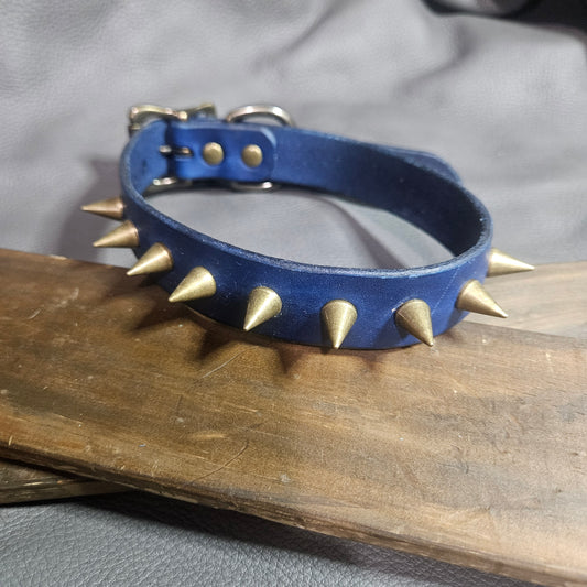 Navy Blue w/ Antique Brass Spikes Pup Collar