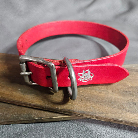 Red w/ Matte Nickel Pup Collar