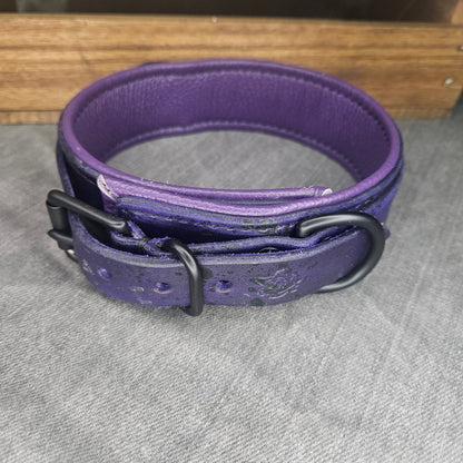 Purple w/ Matte Black Hardware Collar