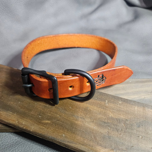 Orange w/ Matte Black Pup Collar