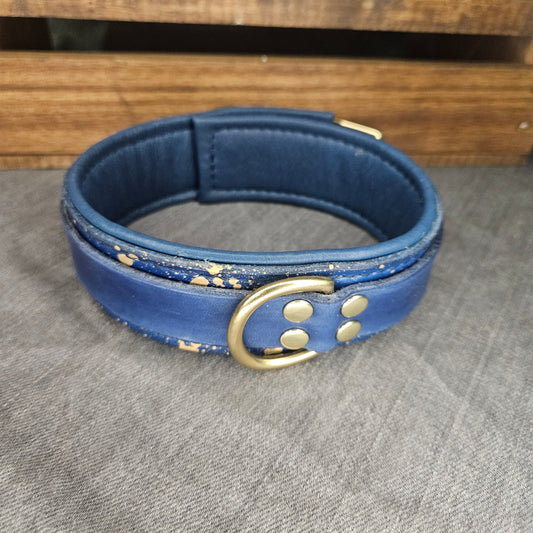 Navy Blue w/ Gold Splatter Collar
