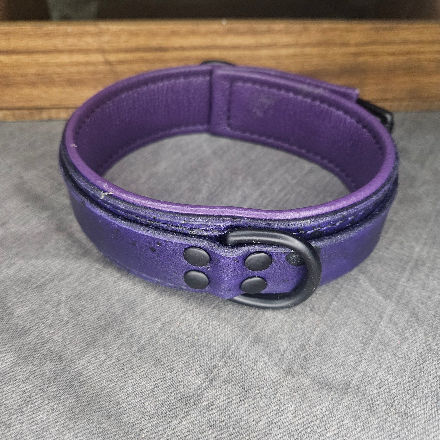Purple w/ Matte Black Hardware Collar