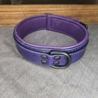 Purple w/ Matte Black Hardware Collar