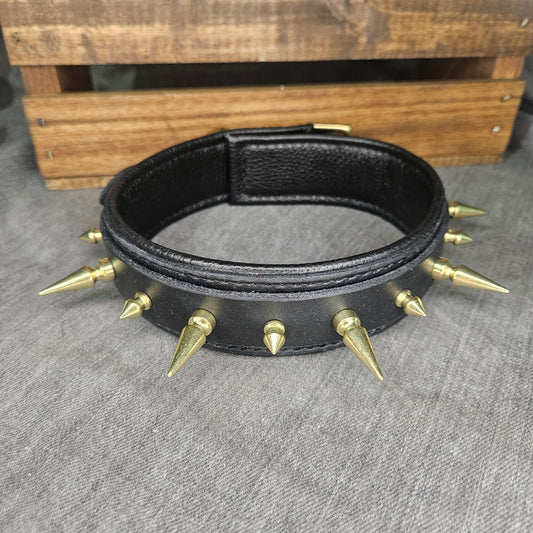 Black w/ Brass Spikes Collar