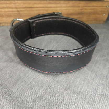 Black w/ Maroon Sticking Collar