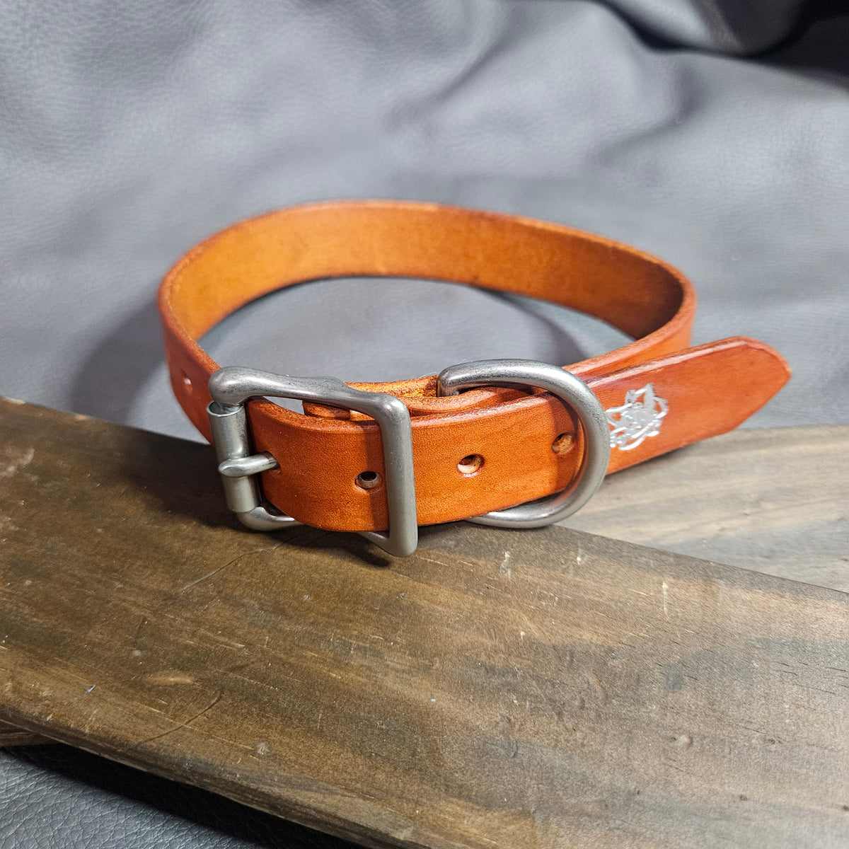 Orange w/ Matte Nickel Pup Collar