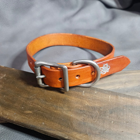 Orange w/ Matte Nickel Pup Collar