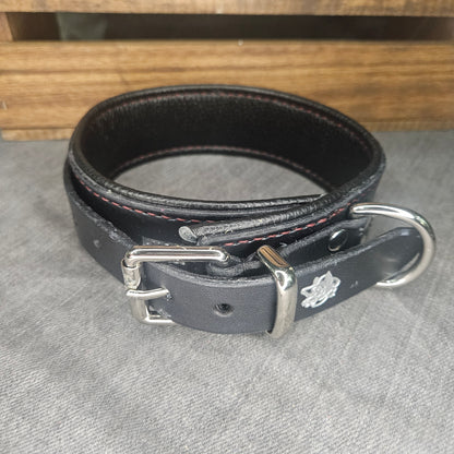 Black w/ Maroon Sticking Collar