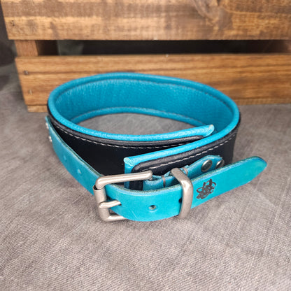 Black n Teal Collar