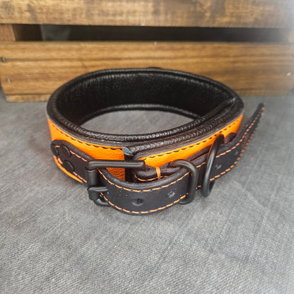 Neon Orange Collar